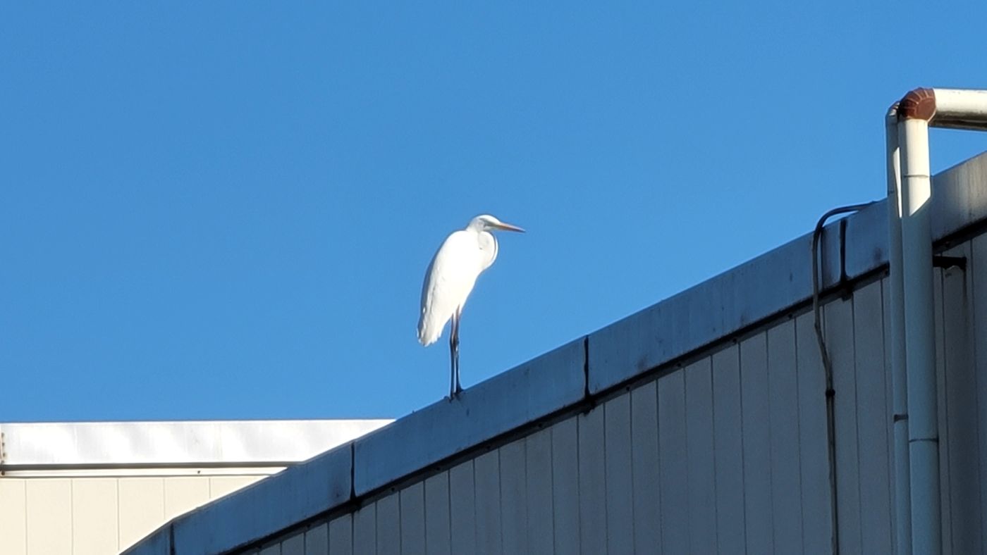 ���Î��u�T�����vweb�y�[�W