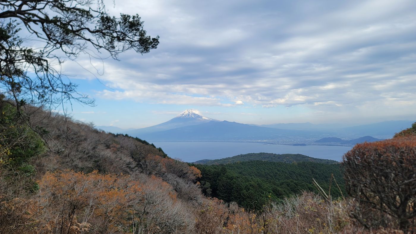 �B���R��������̕x�m�R�i���Î��u�T�����vweb�y�[�W�j