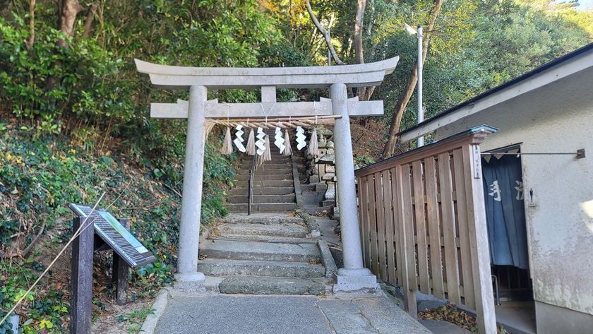 �G�X�q�R�i���Î��u�T�����vweb�y�[�W�j