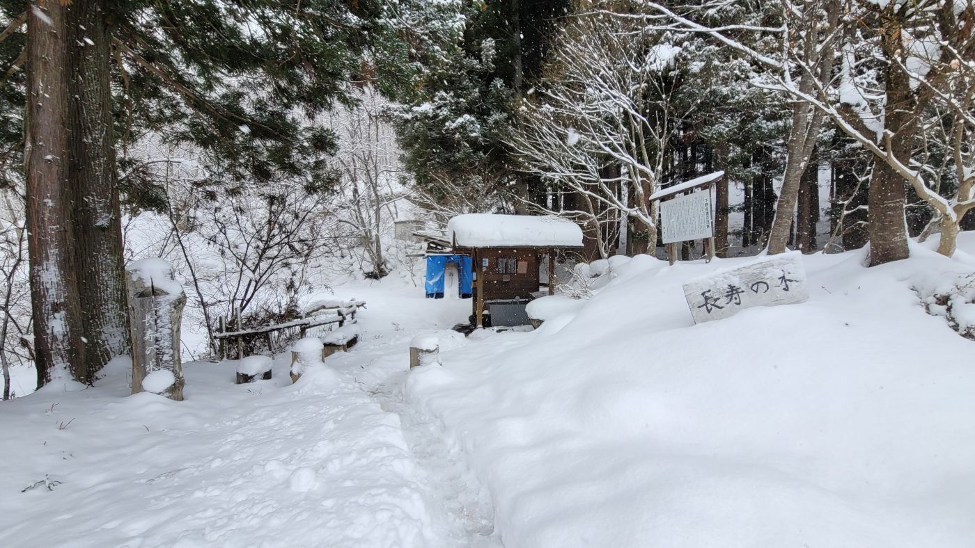 ���q�R�N���u�����̐��v��70���b�g�������݁i���Î��u�T�����vweb�y�[�W�j