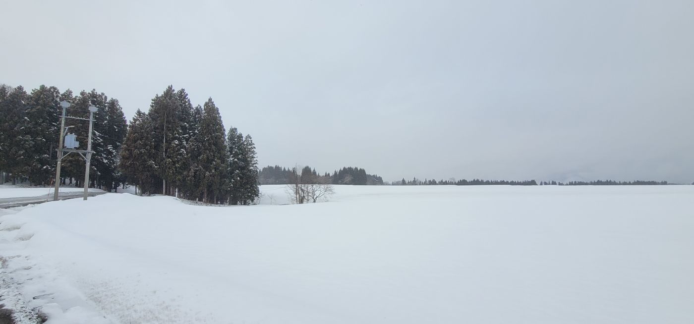 ���Î��u�T�����vweb�y�[�W