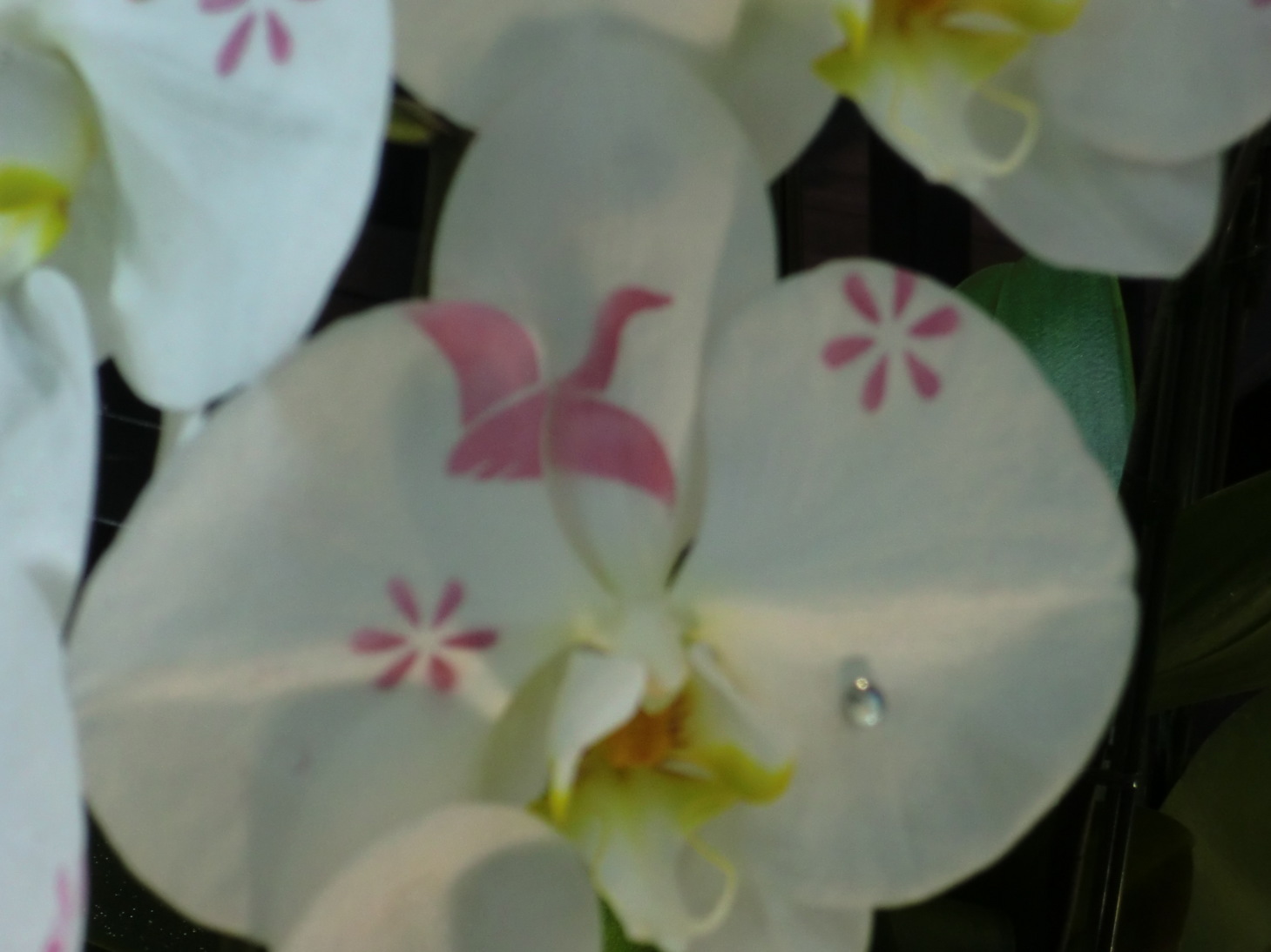 �ӂ�`����💕�p���b�ƁB�B�B