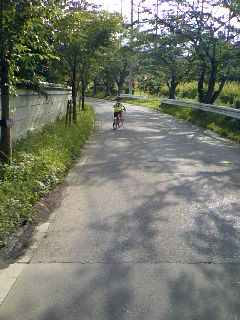 ���Ƃ�̑����Ĉ���Ŏd�����āI