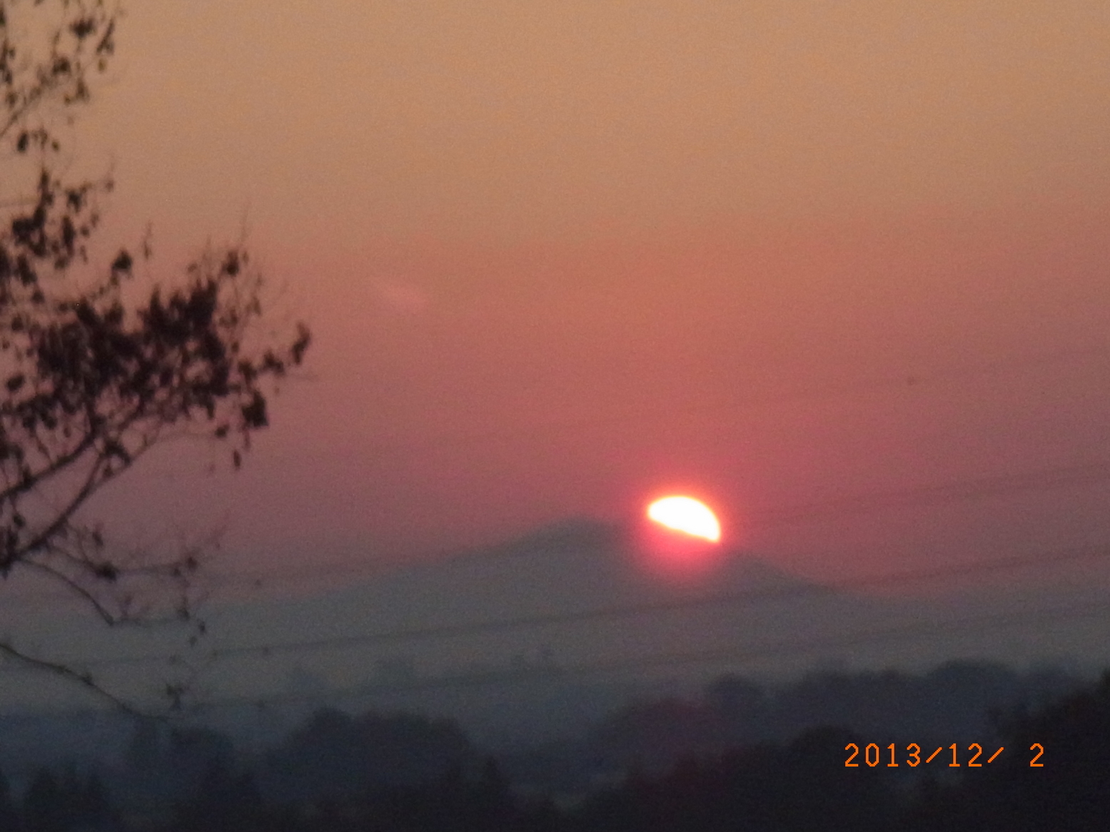 ���Ƃ�̑����Ĉ���Ŏd�����āI