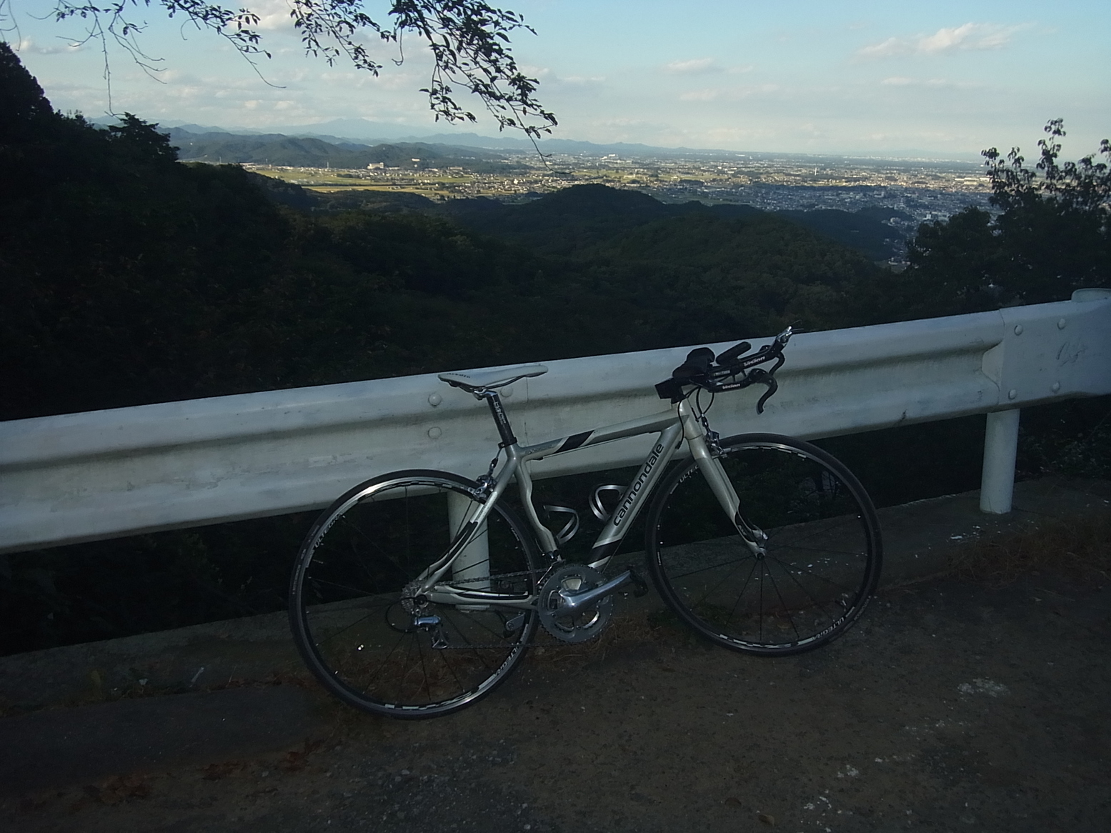 ���Ƃ�̑����Ĉ���Ŏd�����āI