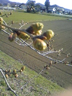 ���Ƃ�̑����Ĉ���Ŏd�����āI