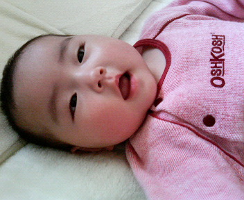 ���Ƃ�̑����Ĉ���Ŏd�����āI