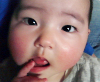 ���Ƃ�̑����Ĉ���Ŏd�����āI