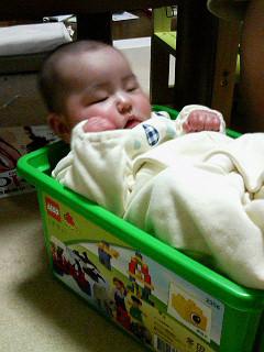 ���Ƃ�̑����Ĉ���Ŏd�����āI