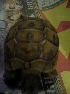 ���Ƃ�̑����Ĉ���Ŏd�����āI