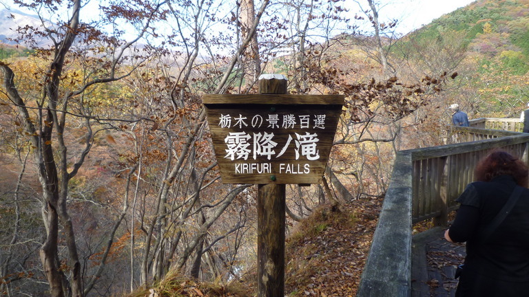 ���Ƃ�̑����Ĉ���Ŏd�����āI