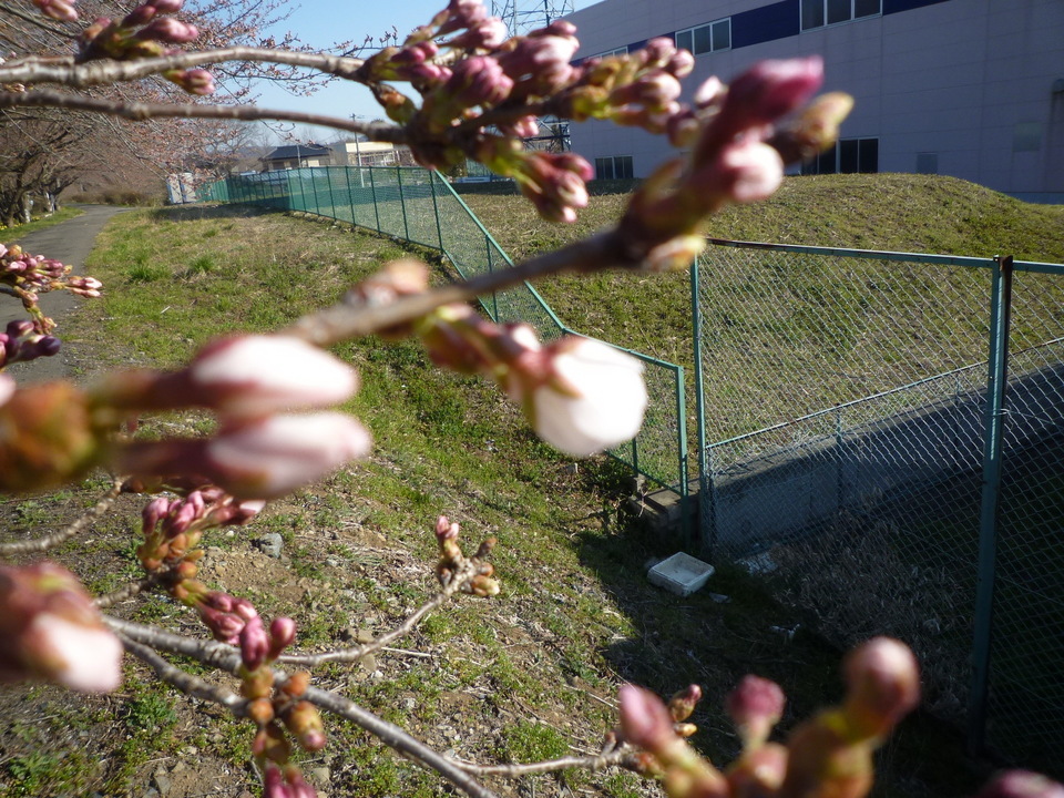 ���Ƃ�̑����Ĉ���Ŏd�����āI