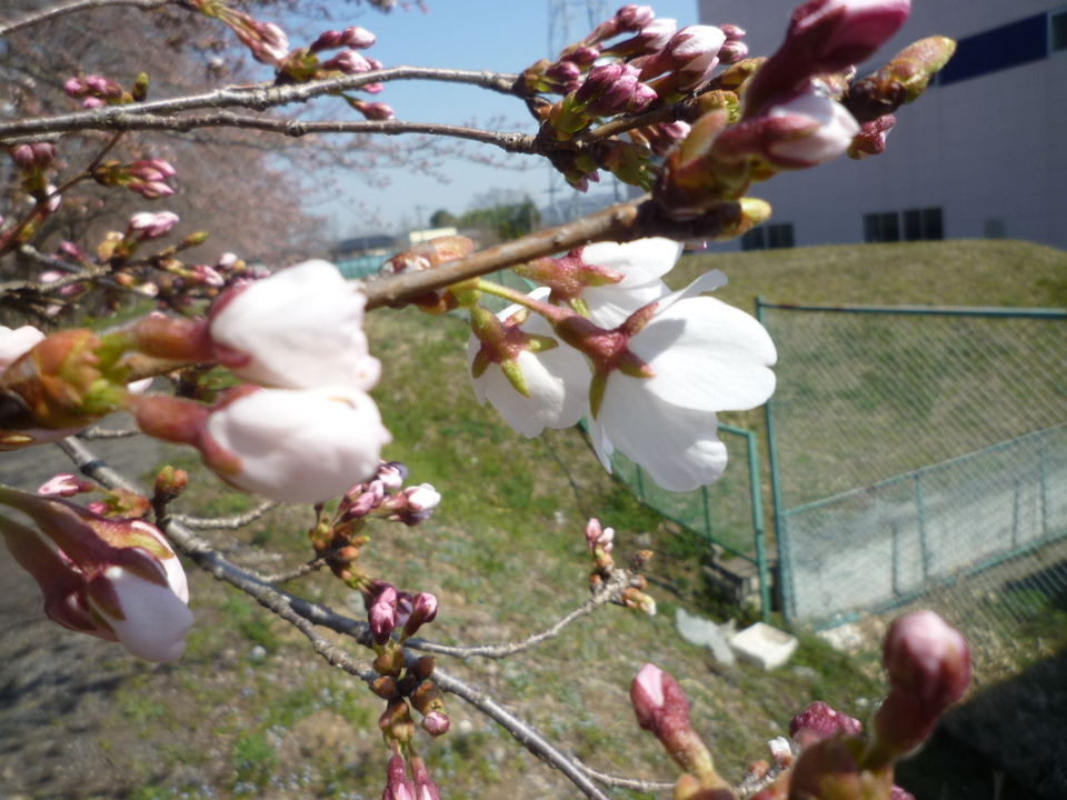 ���Ƃ�̑����Ĉ���Ŏd�����āI