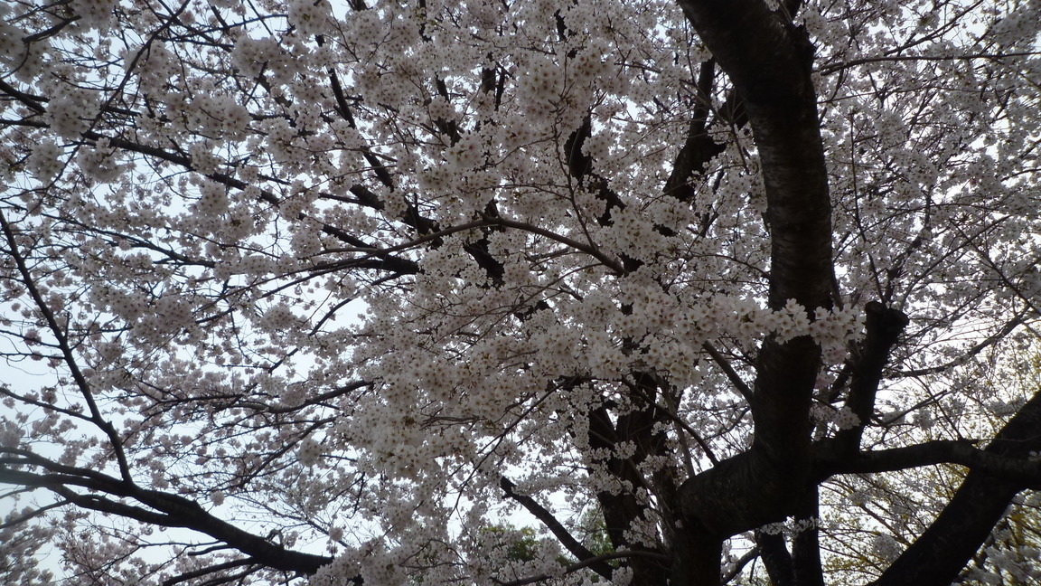 ���Ƃ�̑����Ĉ���Ŏd�����āI