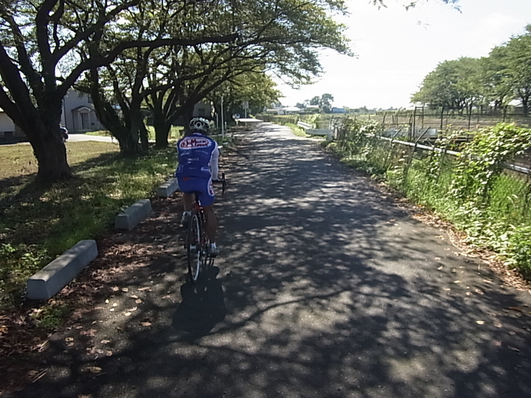 ���Ƃ�̑����Ĉ���Ŏd�����āI