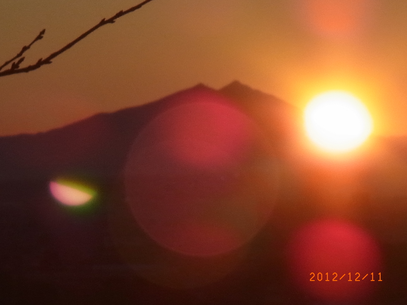 ���Ƃ�̑����Ĉ���Ŏd�����āI