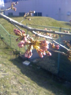 ���Ƃ�̑����Ĉ���Ŏd�����āI