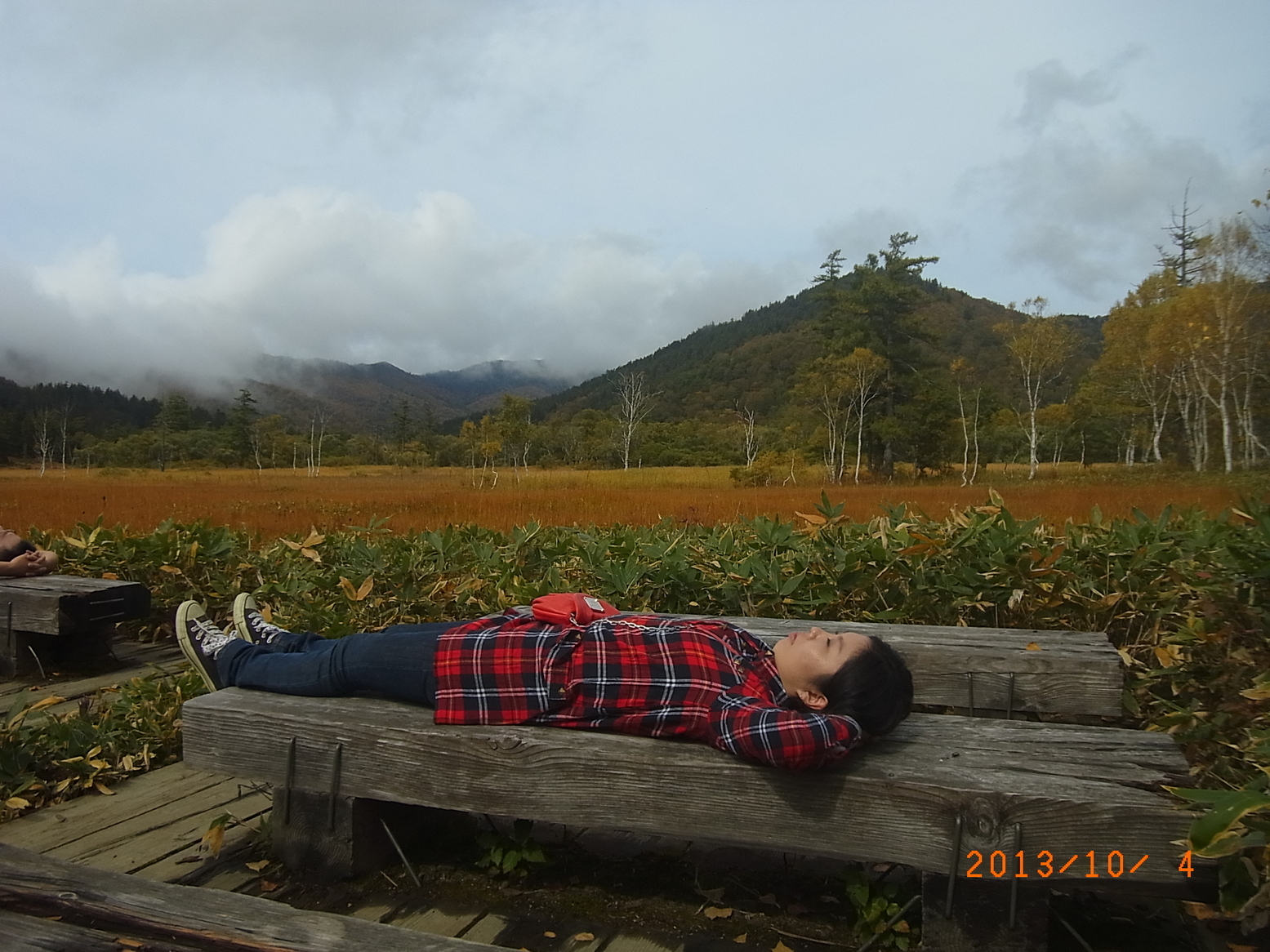 ���Ƃ�̑����Ĉ���Ŏd�����āI