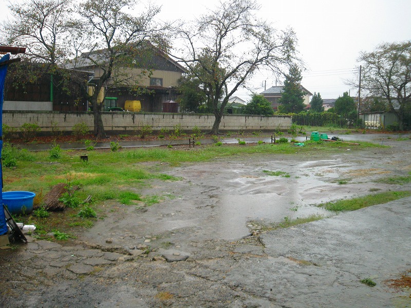 �Ƃ��邨�َq������̃u���O