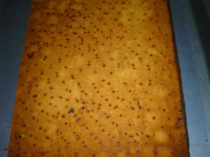 �Ƃ��邨�َq������̃u���O