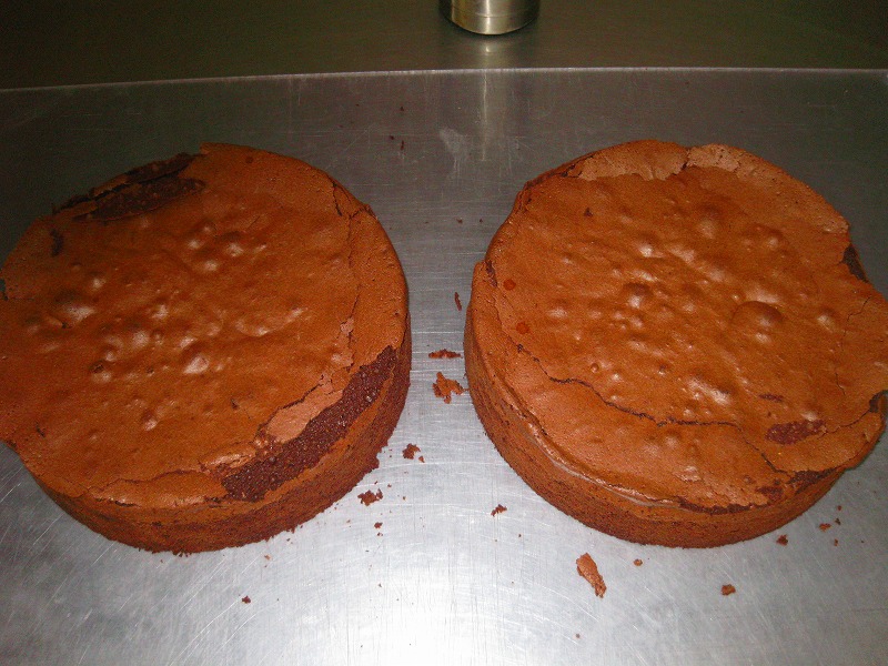 �Ƃ��邨�َq������̃u���O