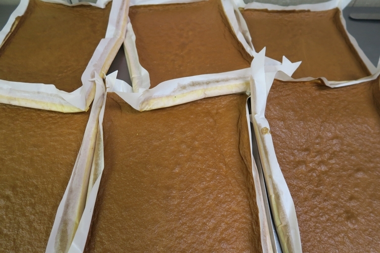 �Ƃ��邨�َq������̃u���O