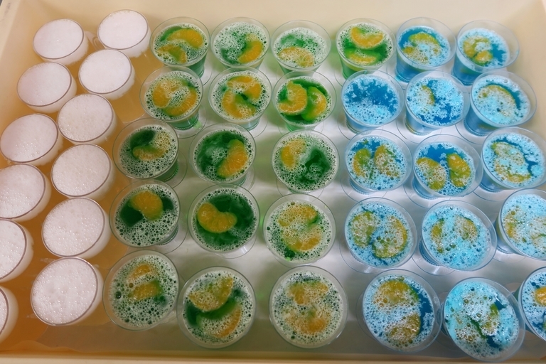 �Ƃ��邨�َq������̃u���O