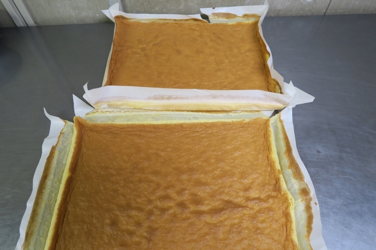 �Ƃ��邨�َq������̃u���O