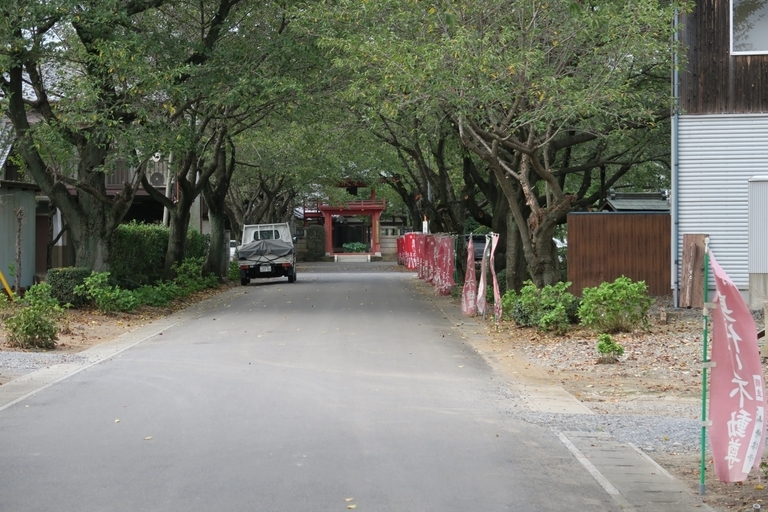 �Ƃ��邨�َq������̃u���O