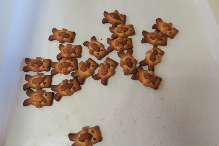 �Ƃ��邨�َq������̃u���O