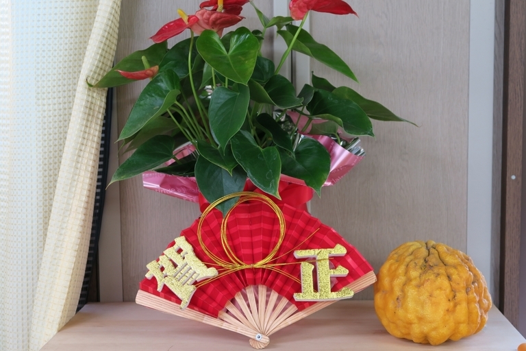 �Ƃ��邨�َq������̃u���O