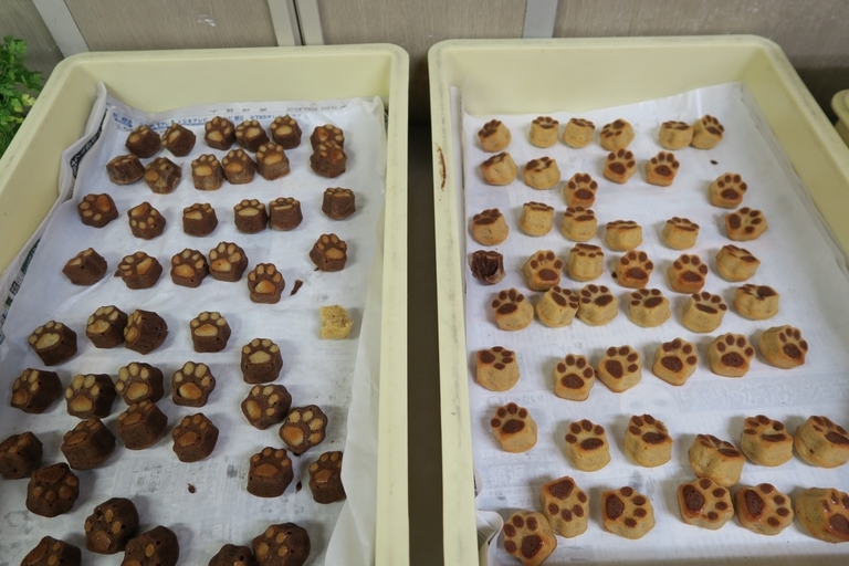 �Ƃ��邨�َq������̃u���O