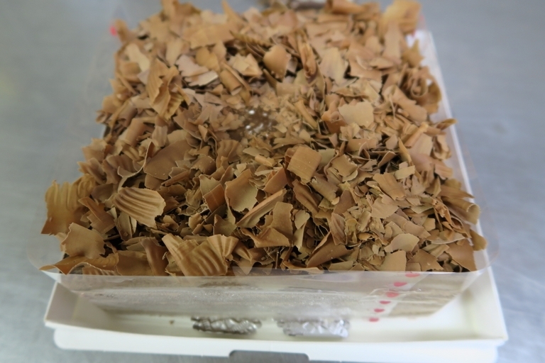 �Ƃ��邨�َq������̃u���O