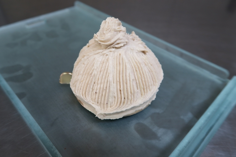 �Ƃ��邨�َq������̃u���O