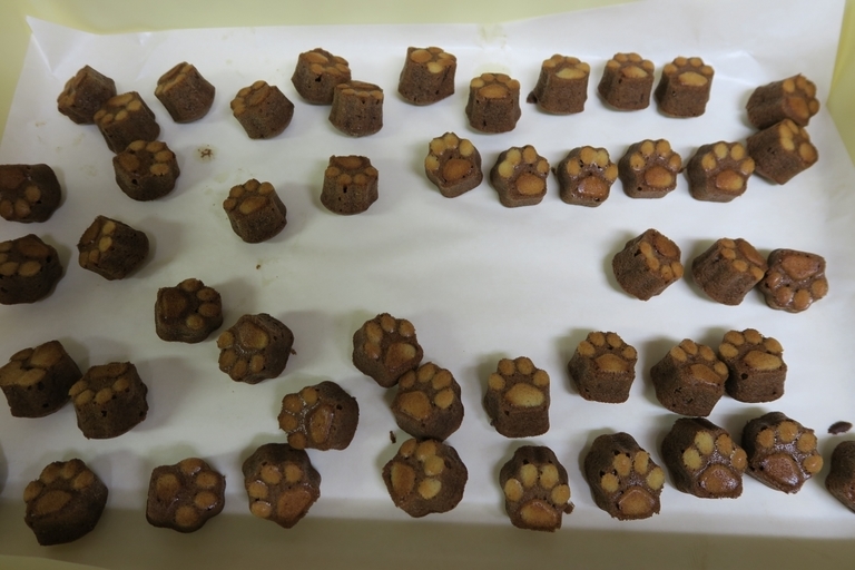 �Ƃ��邨�َq������̃u���O