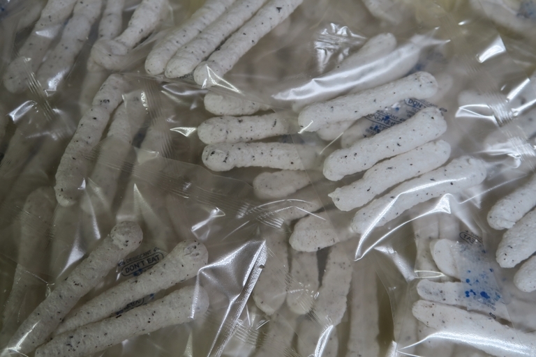 �Ƃ��邨�َq������̃u���O