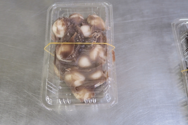 �Ƃ��邨�َq������̃u���O