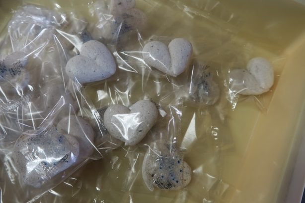 �Ƃ��邨�َq������̃u���O