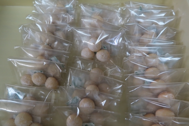 �Ƃ��邨�َq������̃u���O