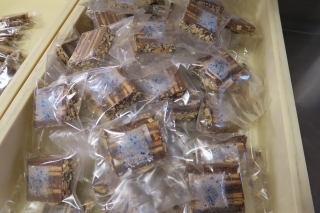 �Ƃ��邨�َq������̃u���O