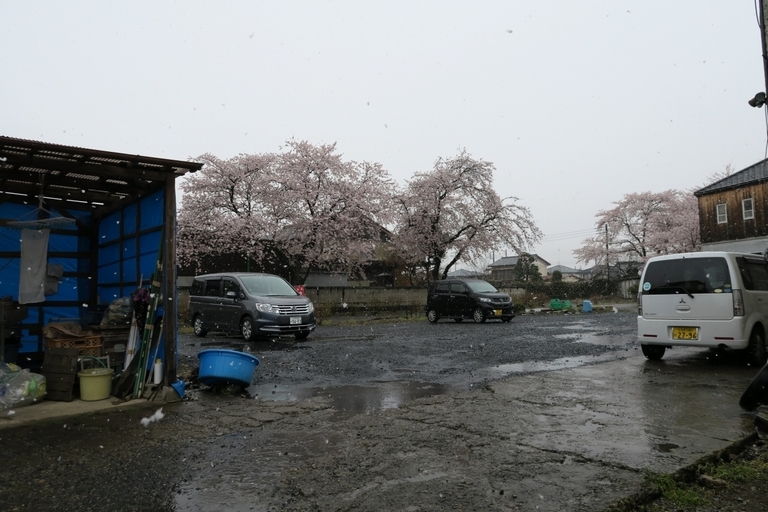 �Ƃ��邨�َq������̃u���O