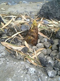 �܂�̋C����