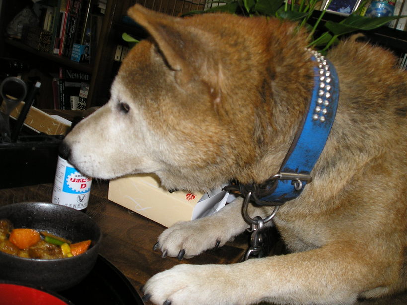 Shizuko�̕���