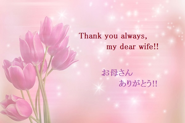 �������тƁ^�y�v�җL�q(�ӂ��키��)