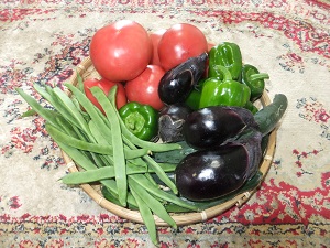 �������тƁ^�y�v�җL�q(�ӂ��키��)