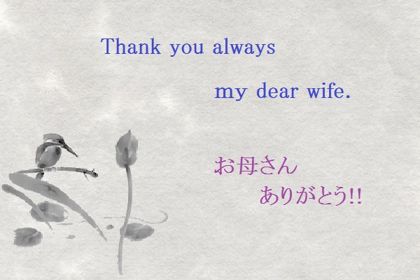 �������тƁ^�y�v�җL�q(�ӂ��키��)