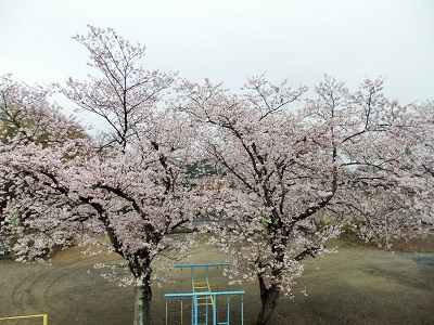 �������тƁ^�y�v�җL�q(�ӂ��키��)