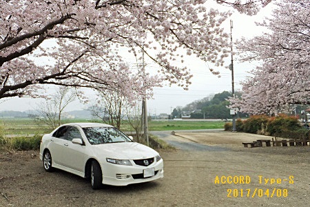 �������тƁ^�y�v�җL�q(�ӂ��키��)