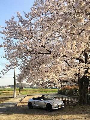 �������тƁ^�y�v�җL�q(�ӂ��키��)