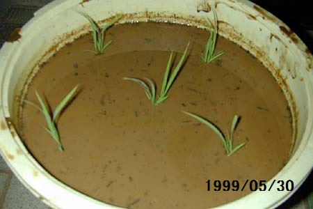 �������тƁ^�y�v�җL�q(�ӂ��키��)